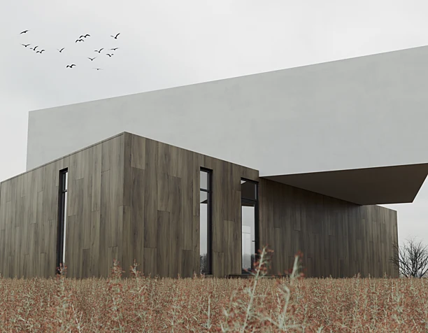 Modern house