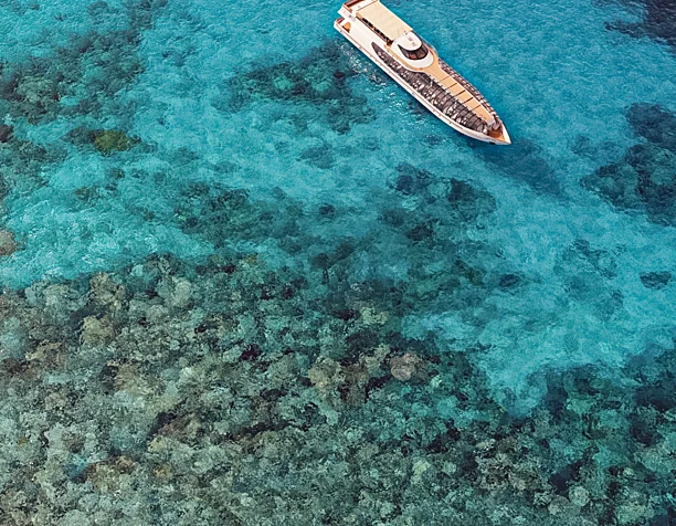 Sea render