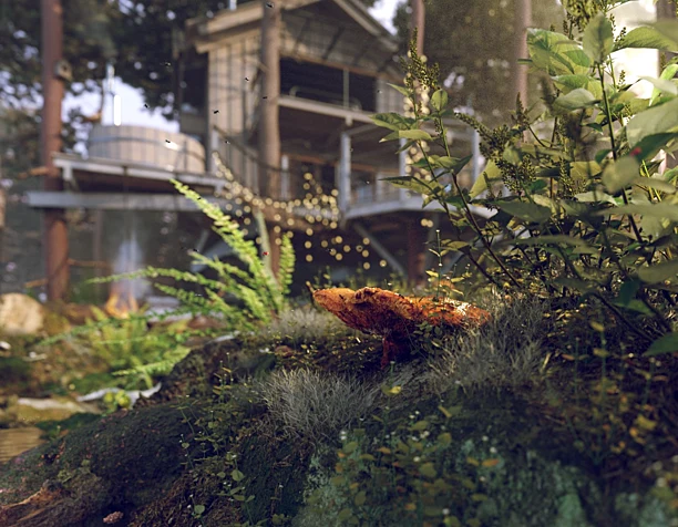 Tree house