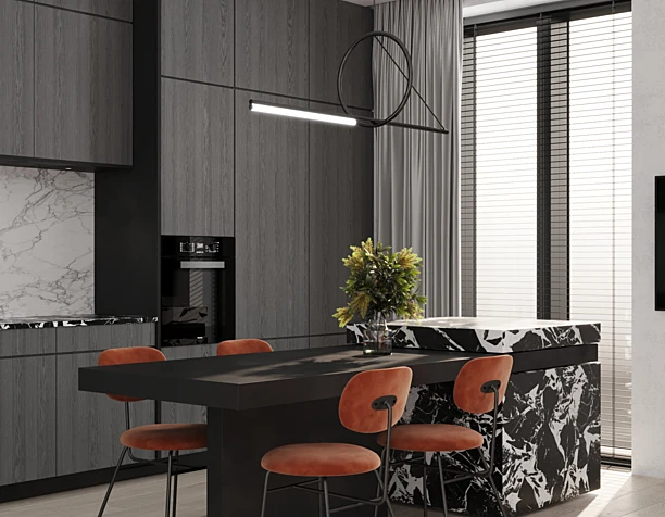 Kitchen and living room vizualization