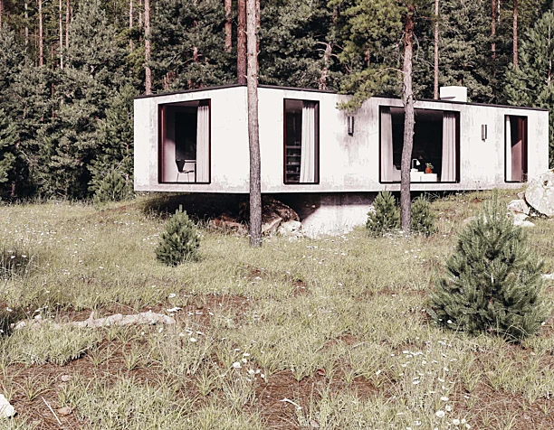 Concrete House in forest