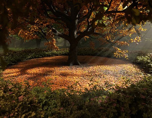 AUTUMN OAK