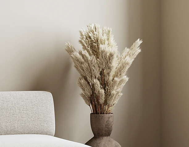 Pampas apartment