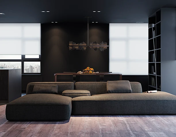 Modern dark interior apartment