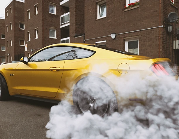 Mustang burns