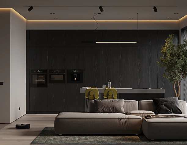 Modern Living room