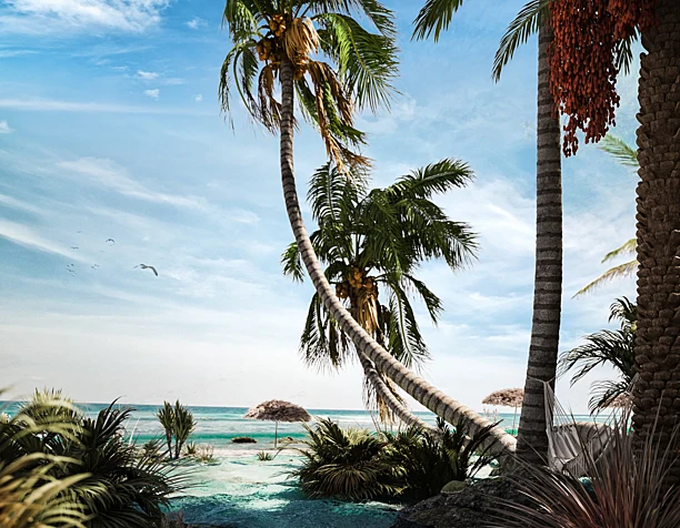 THE TROPICAL