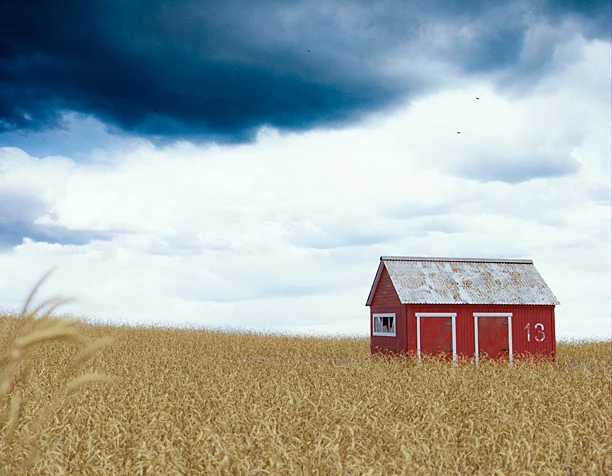 Barn in the field