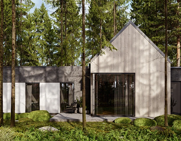 House in the spruce forest