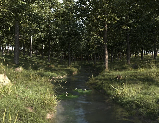Forest