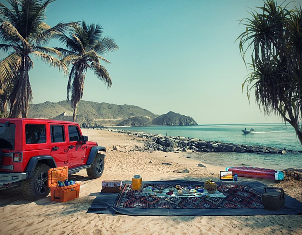 Picnic