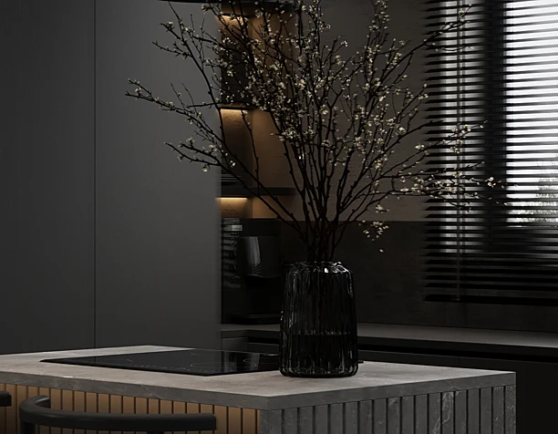 Private house in black style