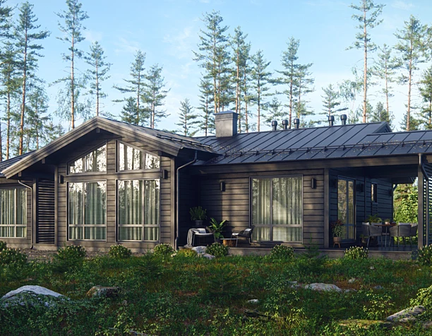 HOUSE IN A PINE FOREST