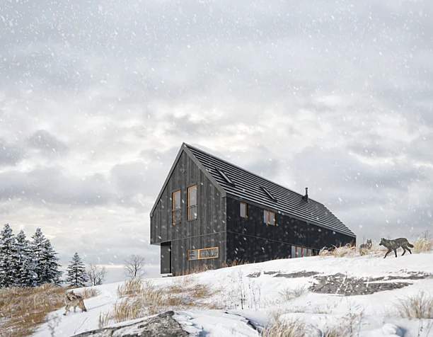 Snowy field House