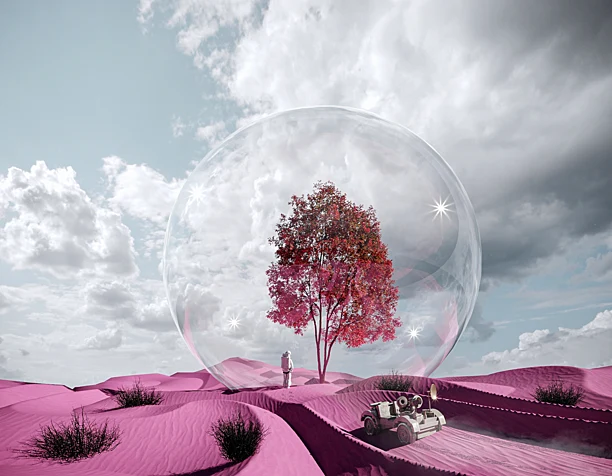 Pink desert