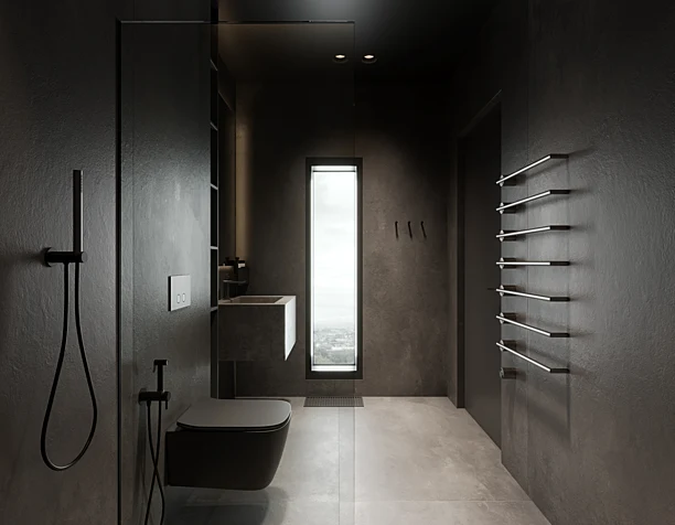 Aesthetic dark bathroom