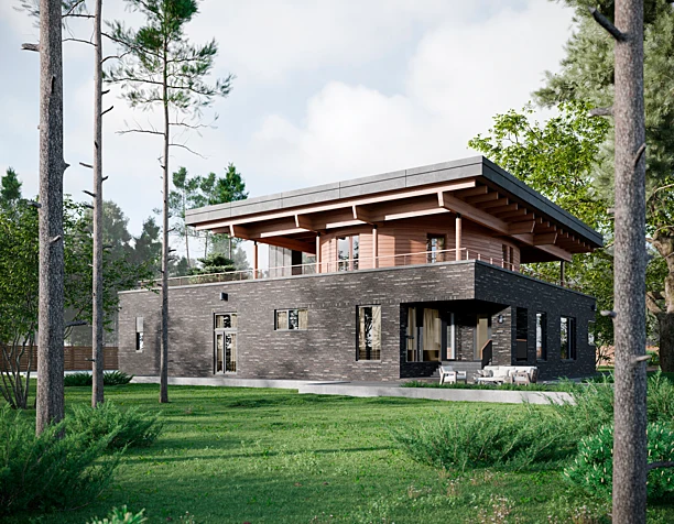 HOUSE IN PINE FOREST