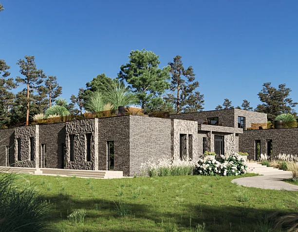House for the competition | CGI