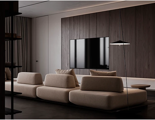 Сonceptual living room