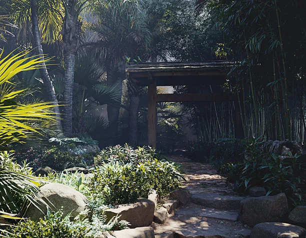 Jungle | Swamp