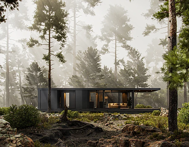 TINY HOUSE