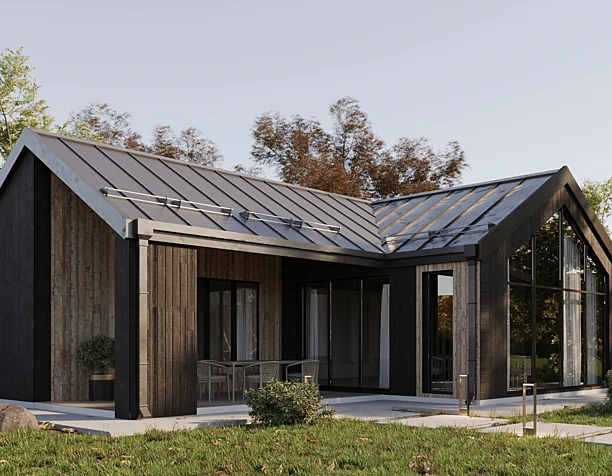 Exterior Vizualization Barnhouse