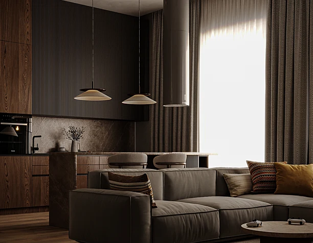 Kitchen-living room design