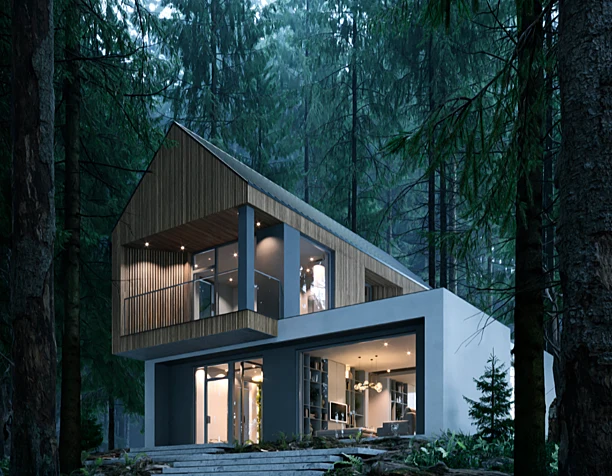 Forest House | Concept Project