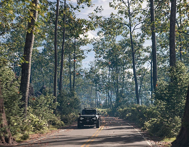 The road in the forest
