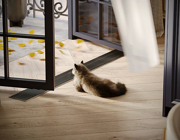 Cat in the Kitchen