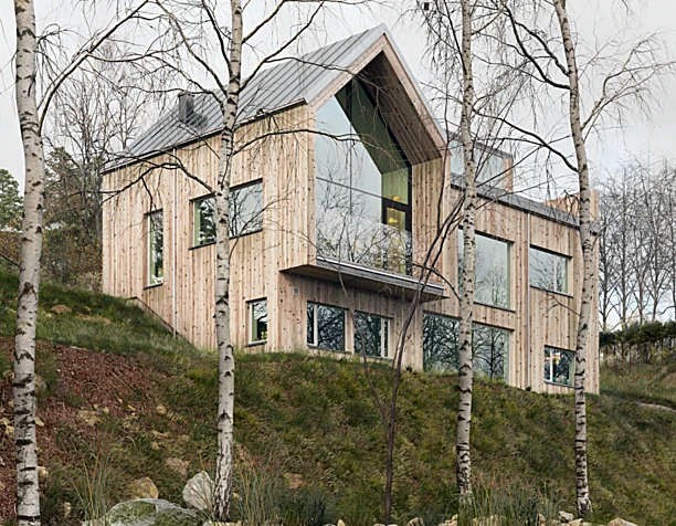 Villa Bondö / Kjellgren Kaminsky Architecture (сделано по референсу)