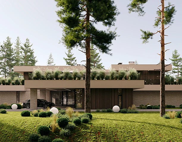Concept project / Wright house / Architecture of facades and terraces