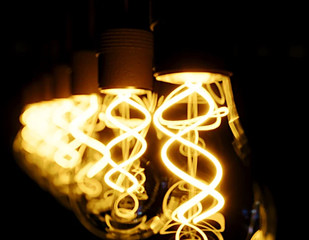 BULBS