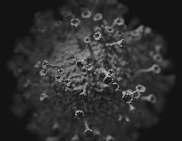 Virus