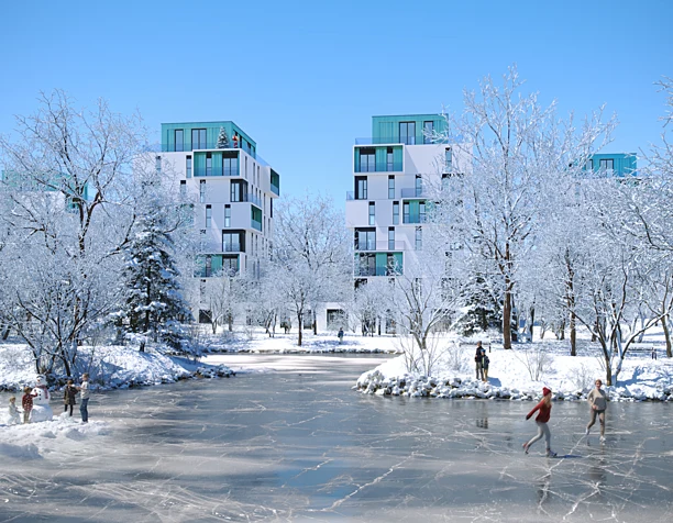 Frosty Day