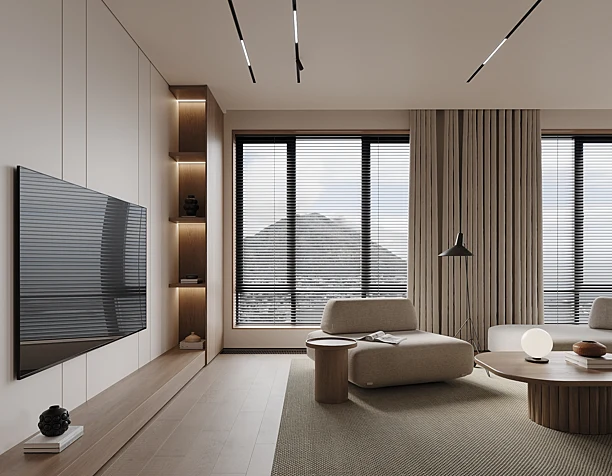 Livingroom and Kitchen  design