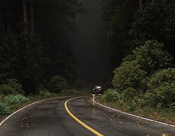 Forest, road