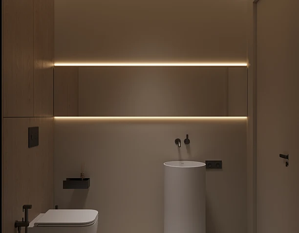Guest toilet
