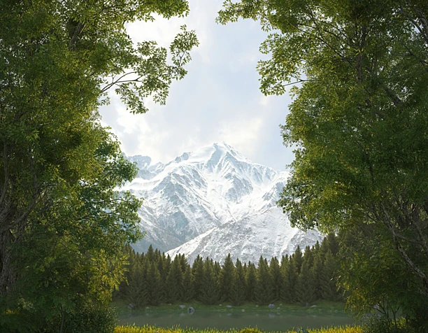 Forest