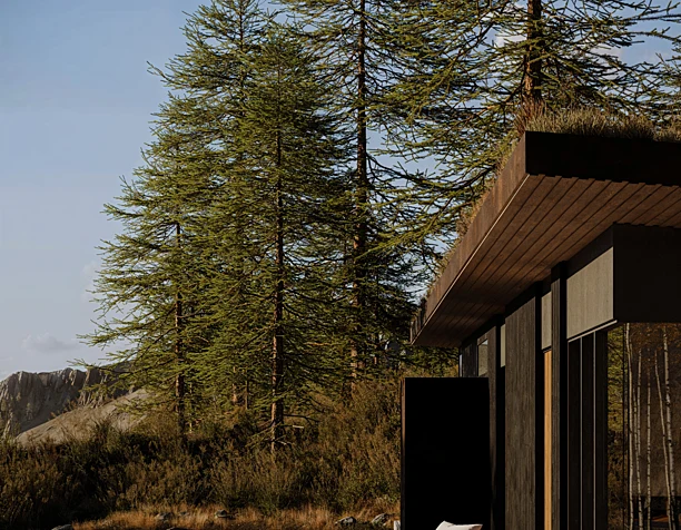 Aspen Tree House
