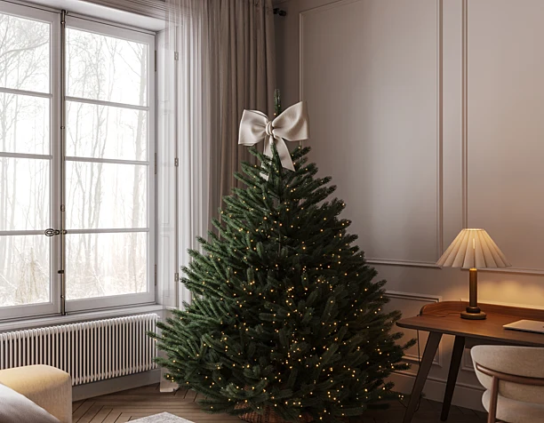 Christmas interior