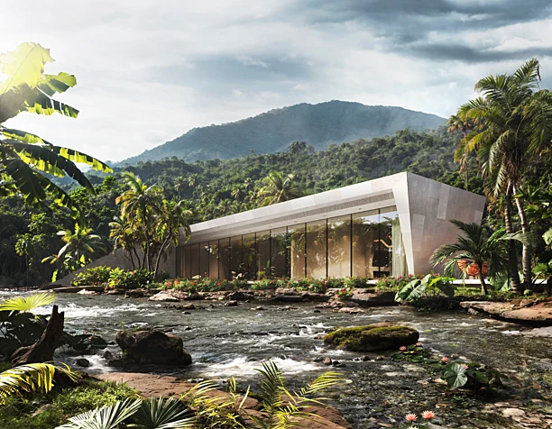 Villa in the jungle