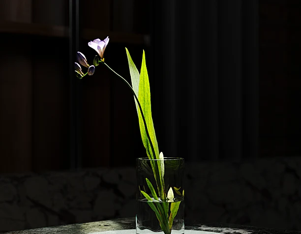 interior -  3D design