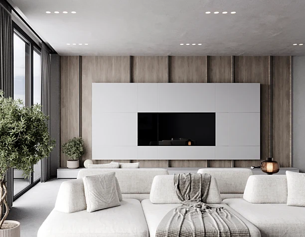 Living room concept