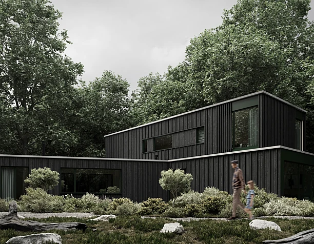 Forest House Oostvoorne / Kumiki (сделано по референсу)