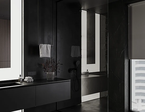 Contemporary dark bathroom