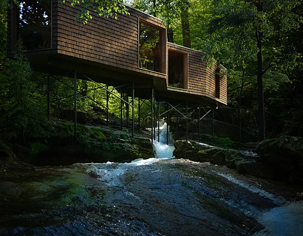 The Forest Cabin
