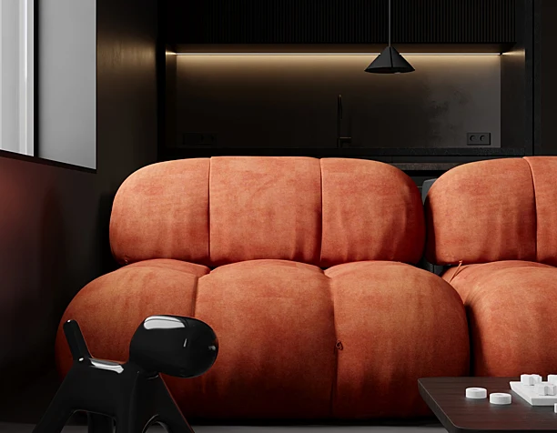 Livingroom x kitchen "CITURI"