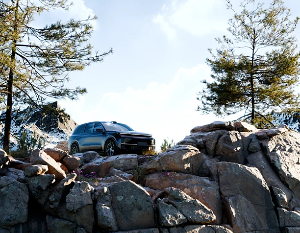 Car in The Wild