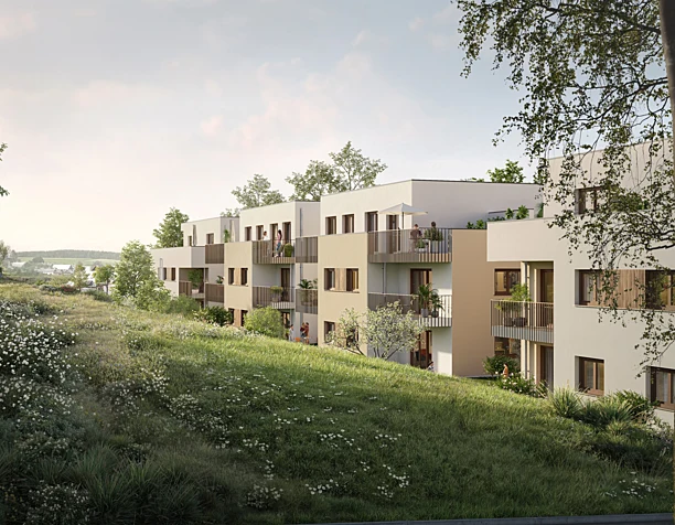 Boxberg | Lindenrain 2